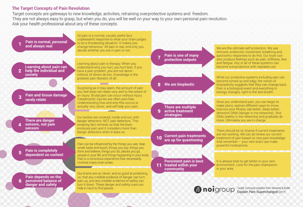 Explain Pain Target Concepts Worldwide - NOI Group