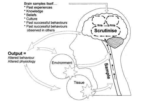 Source: Gifford L, The Mature Organism Model. http://giffordsachesandpains.files.wordpress.com/2013/04/mature-org-ch2-tip1.pdf